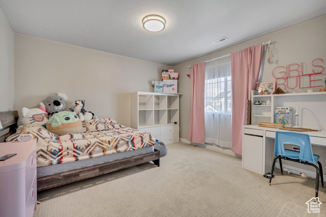 Photo 20 for MLS #2116245 at 11352 S 1385 West