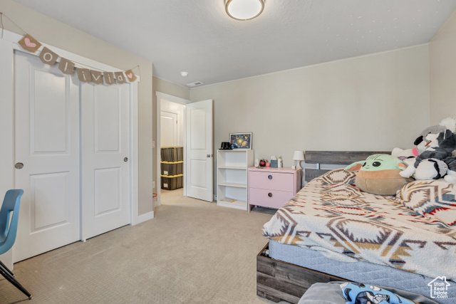 Photo 21 for MLS #2116245 at 11352 S 1385 West