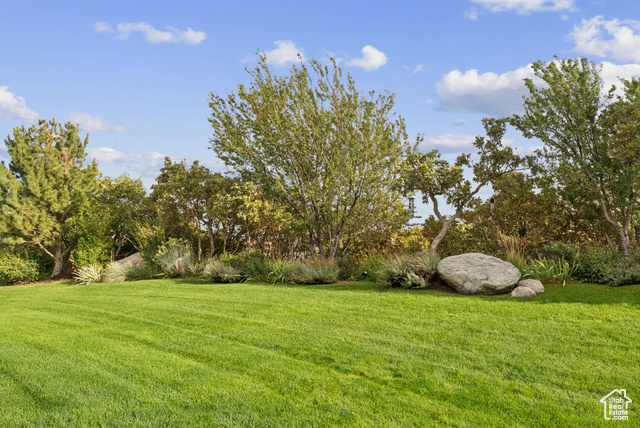 Photo 66 for MLS #2116282 at 3093 E Scenic Valley Ln