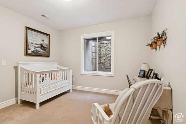 Photo 58 for MLS #2116282 at 3093 E Scenic Valley Ln