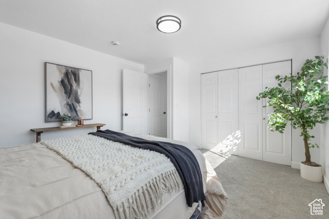 Photo 12 for MLS #2116286 at 3660 W Ashland Cir
