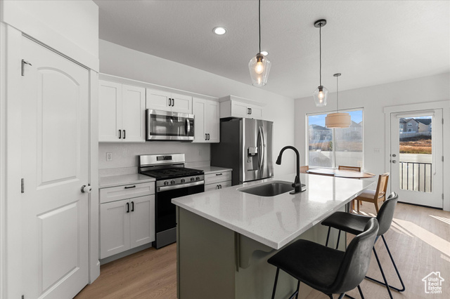 Photo 6 for MLS #2116295 at 999 N Ledger Dr