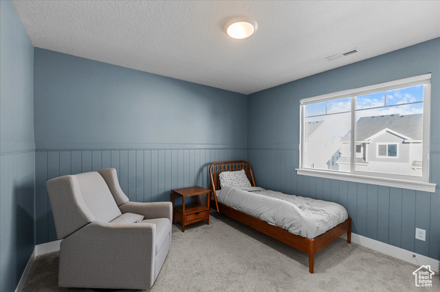 Photo 23 for MLS #2116295 at 999 N Ledger Dr