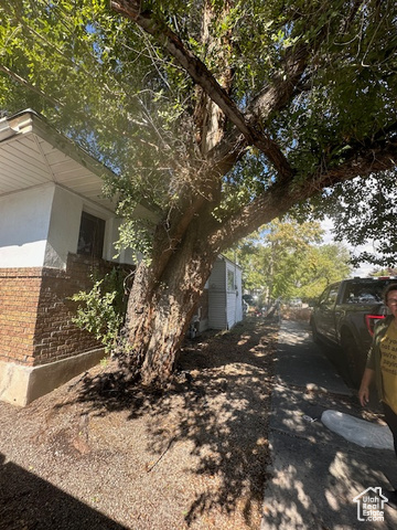 Photo 5 for MLS #2116308 at 45 E Kelsey Ave