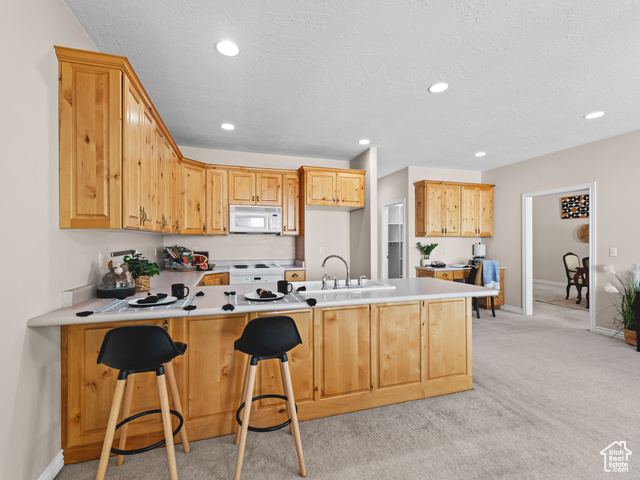 Photo 22 for MLS #2116325 at 455 E Rocky Mouth Ln