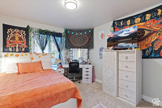 Photo 19 for MLS #2116327 at 1080 N 575 West