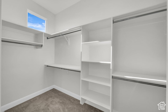 Photo 12 for MLS #2116370 at 2997 E Beartrap Dr