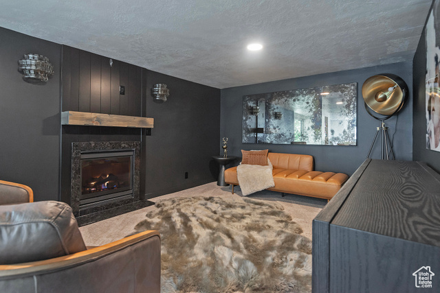 Photo 39 for MLS #2116407 at 8755 S Kings Hill Dr