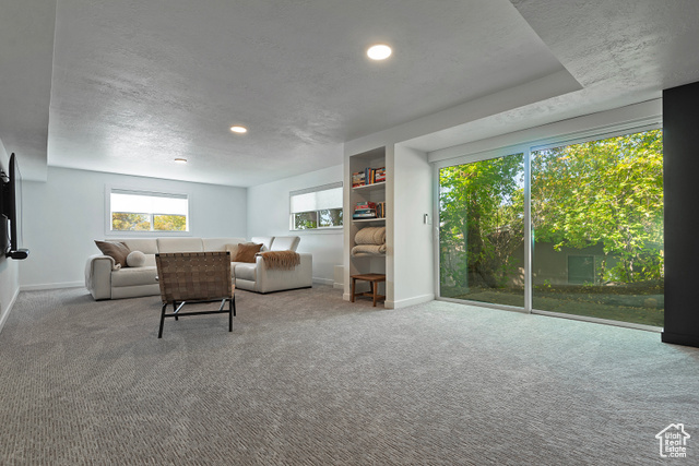 Photo 37 for MLS #2116407 at 8755 S Kings Hill Dr