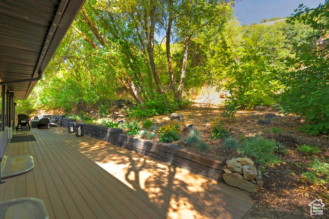Photo 46 for MLS #2116407 at 8755 S Kings Hill Dr