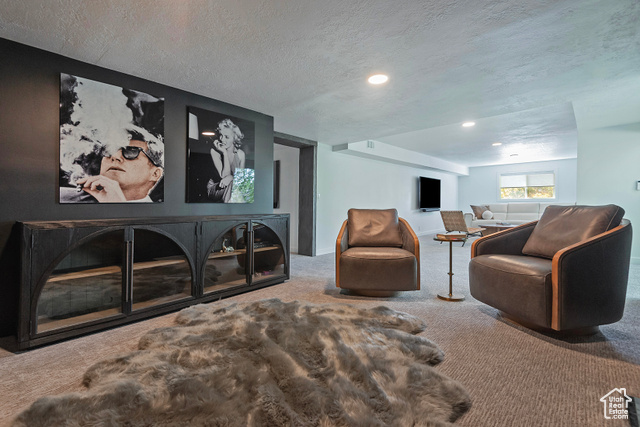 Photo 41 for MLS #2116407 at 8755 S Kings Hill Dr