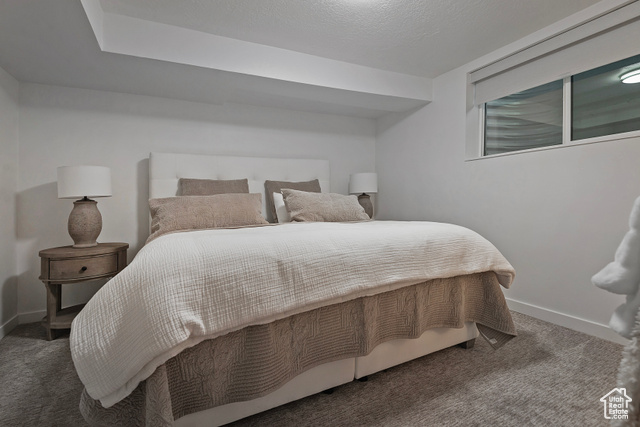 Photo 34 for MLS #2116407 at 8755 S Kings Hill Dr
