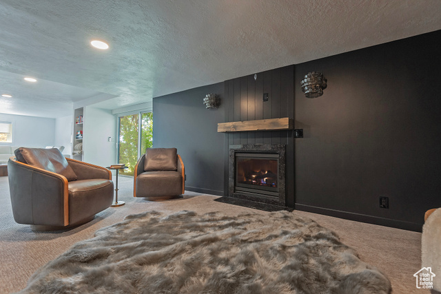 Photo 40 for MLS #2116407 at 8755 S Kings Hill Dr