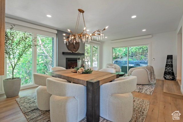Photo 24 for MLS #2116407 at 8755 S Kings Hill Dr