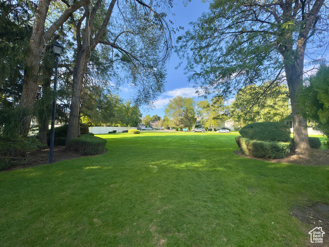 Photo 16 for MLS #2116409 at 7944 S Harvel Dr