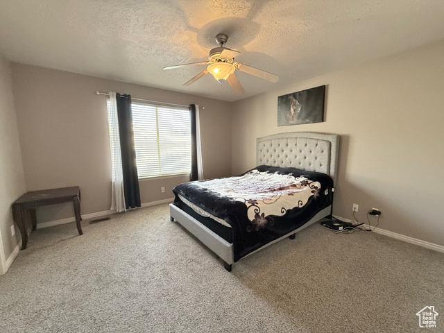 Photo 14 for MLS #2116428 at 4904 W Wild Acres Dr