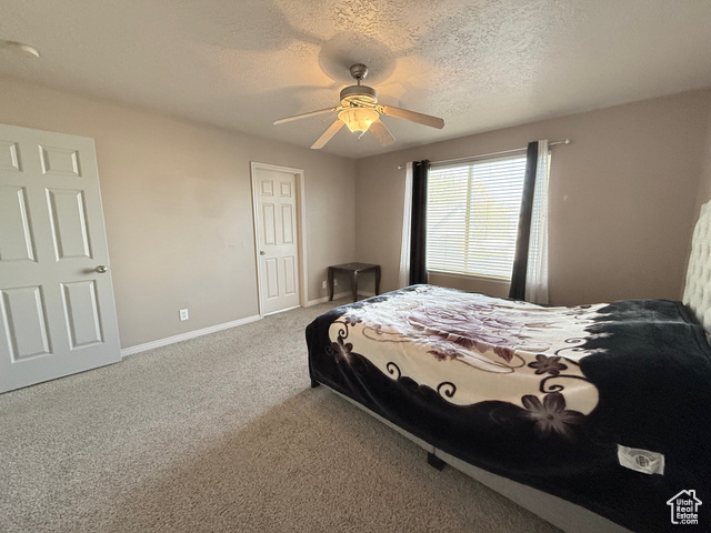 Photo 15 for MLS #2116428 at 4904 W Wild Acres Dr
