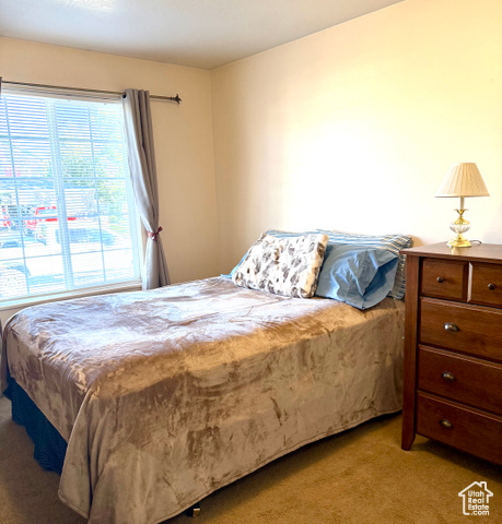 Photo 15 for MLS #2116431 at 13160 S Meadow Way