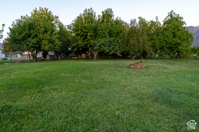 Photo 10 for MLS #2116438 at 983 E Antelope Dr