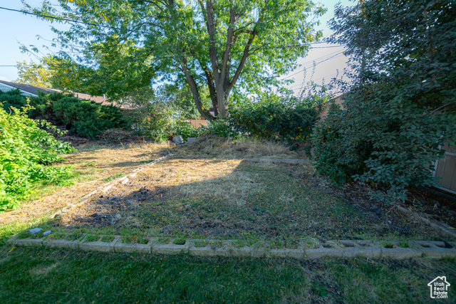 Photo 23 for MLS #2116444 at 374 Orchard Ave