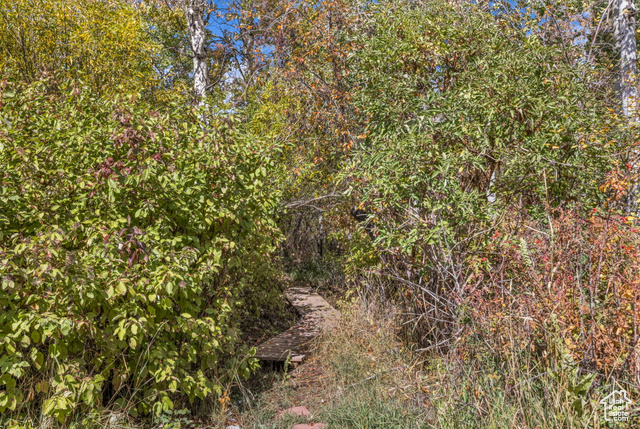 Photo 36 for MLS #2116490 at 2100 Canyon Resorts Dr #5A