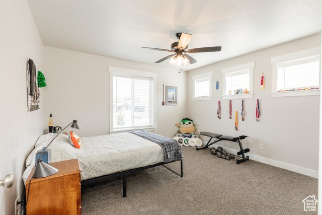 Photo 19 for MLS #2116524 at 495 N 900 East