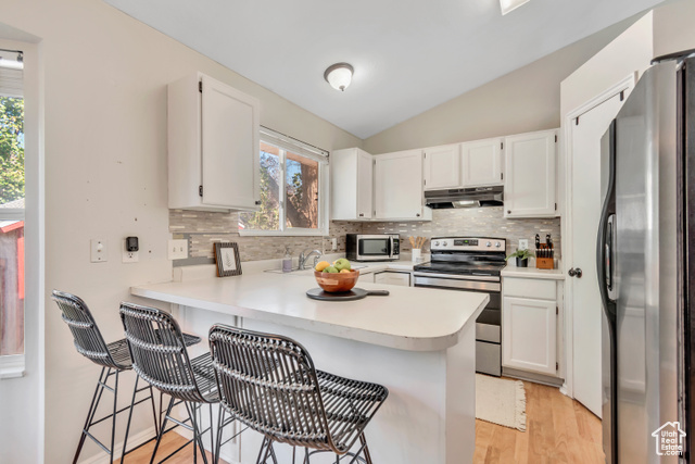 Photo 8 for MLS #2116536 at 1146 W Athleen Dr