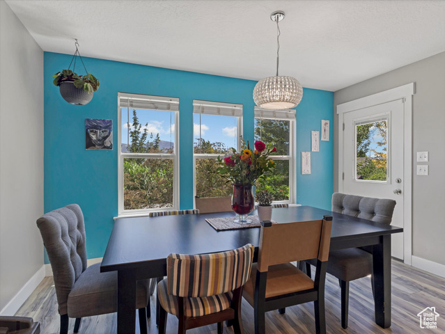 Photo 12 for MLS #2116540 at 11271 S Ropemaker Rd