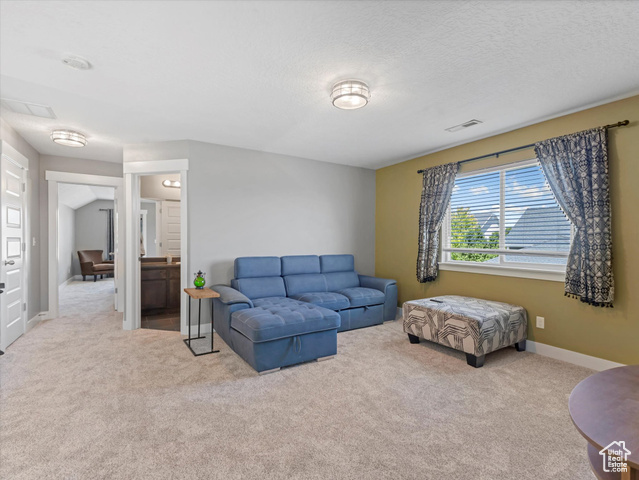 Photo 23 for MLS #2116540 at 11271 S Ropemaker Rd