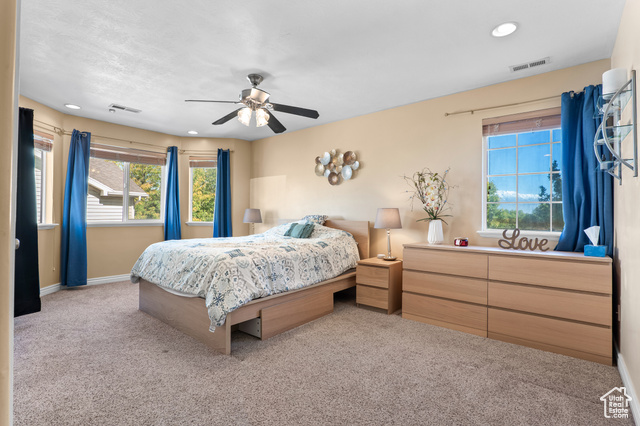 Photo 20 for MLS #2116604 at 7311 N Ute Dr