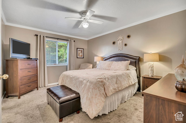 Photo 13 for MLS #2116647 at 5006 S 1800 West