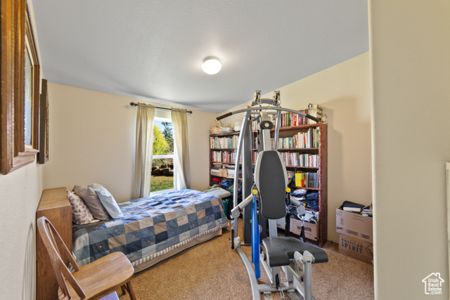 Photo 20 for MLS #2116649 at 3135 N Thompson Canyon Rd