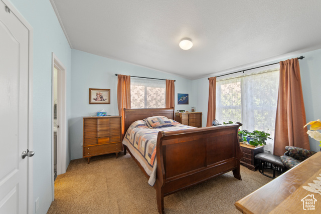 Photo 11 for MLS #2116649 at 3135 N Thompson Canyon Rd