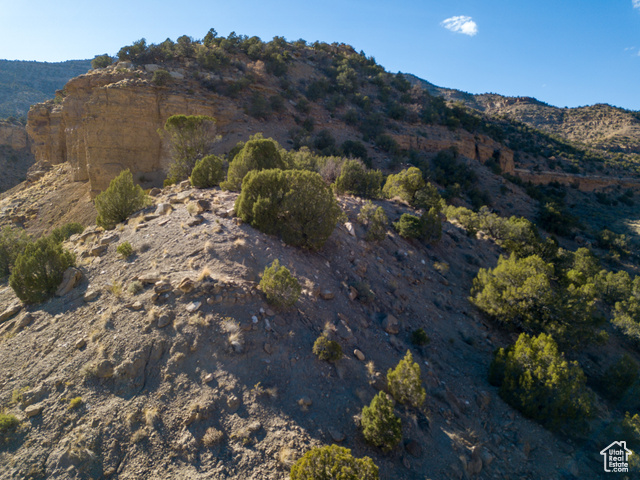 Photo 41 for MLS #2116649 at 3135 N Thompson Canyon Rd