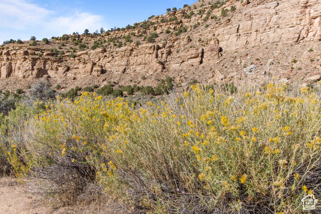 Photo 51 for MLS #2116649 at 3135 N Thompson Canyon Rd