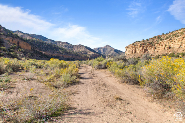 Photo 49 for MLS #2116649 at 3135 N Thompson Canyon Rd