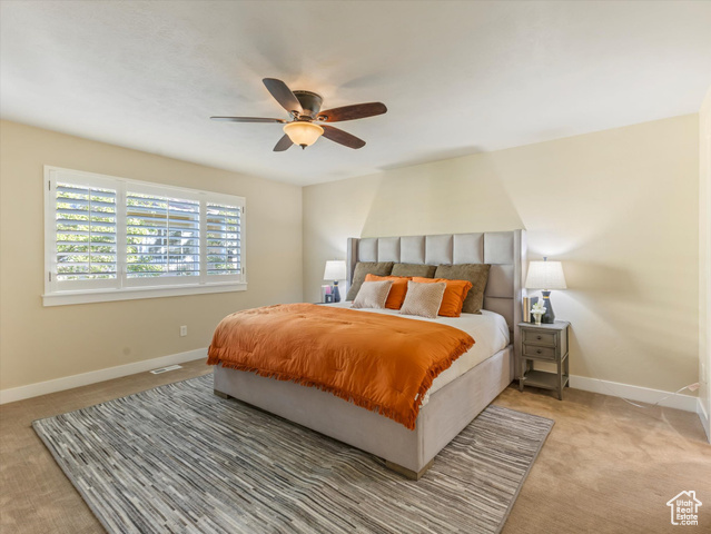 Photo 16 for MLS #2116654 at 9017 S Heights Dr