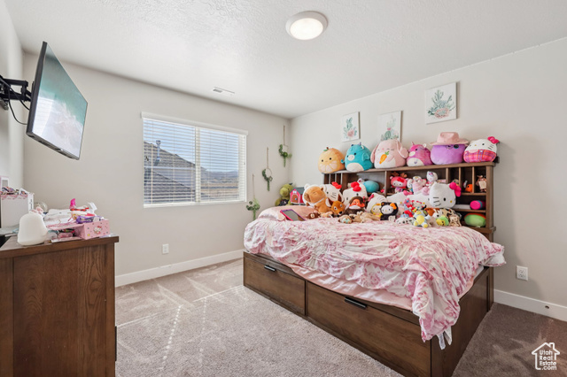 Photo 39 for MLS #2116666 at 13316 S Carmen Oak Dr