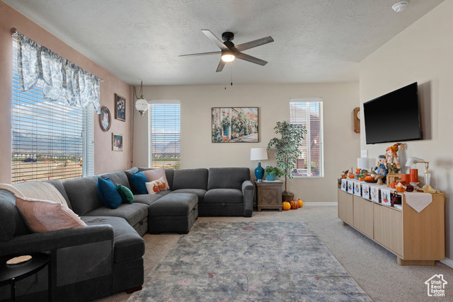 Photo 8 for MLS #2116693 at 46 W Apache Rd