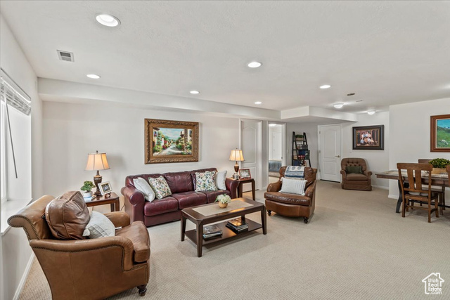 Photo 38 for MLS #2116708 at 12543 S Forge Way