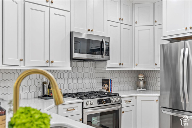 Photo 19 for MLS #2116708 at 12543 S Forge Way