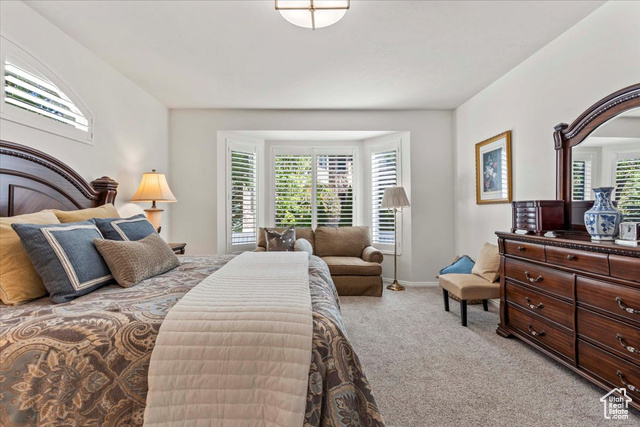 Photo 27 for MLS #2116708 at 12543 S Forge Way