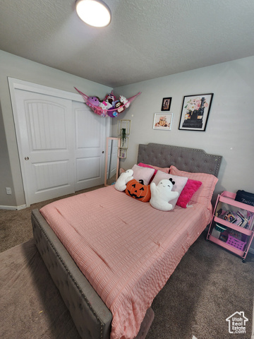 Photo 24 for MLS #2116745 at 4028 S Young Dr