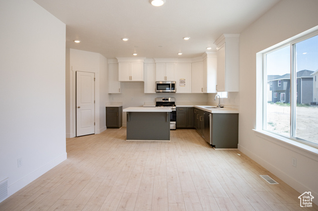 Photo 3 for MLS #2116777 at 3692 N Nathan Street Lot #1028