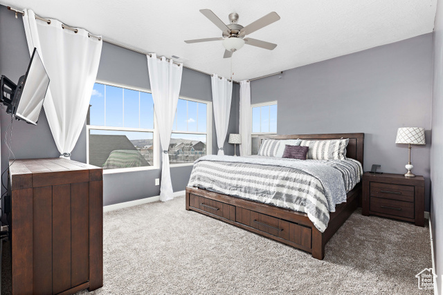 Photo 16 for MLS #2116835 at 11283 S Willow Walk Dr