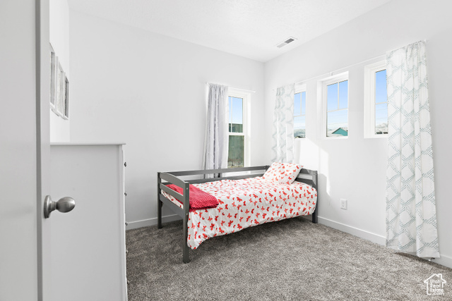 Photo 22 for MLS #2116835 at 11283 S Willow Walk Dr
