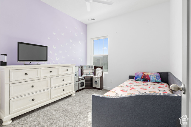Photo 21 for MLS #2116835 at 11283 S Willow Walk Dr