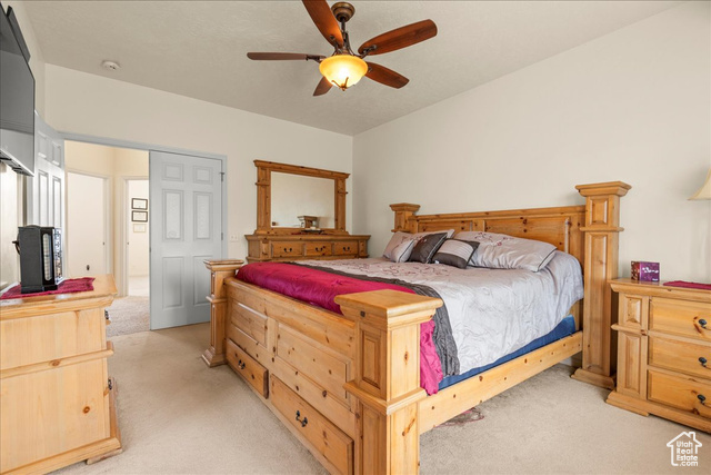 Photo 22 for MLS #2116865 at 690 W Sagewood Cir