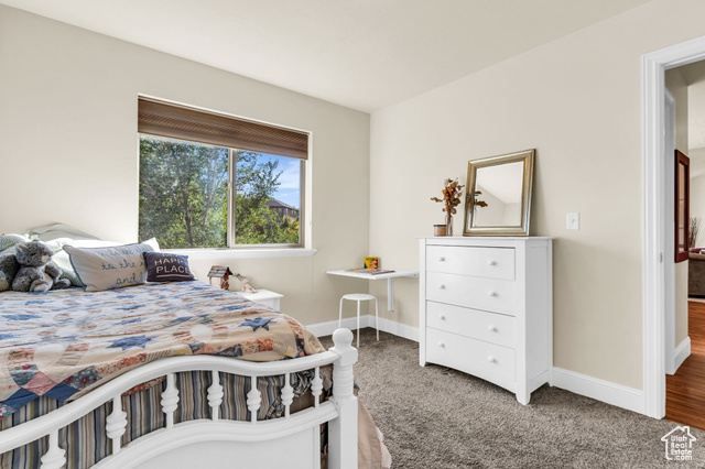 Photo 18 for MLS #2116874 at 11187 S Devon View Dr
