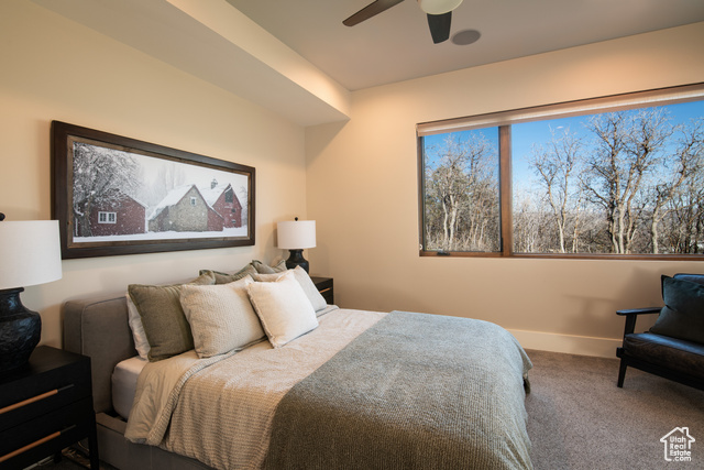 Photo 48 for MLS #2116890 at 8947 Parleys Ln